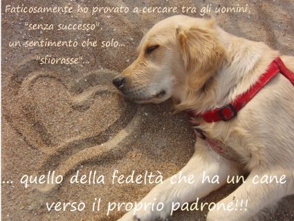 Un cane fa bene…