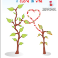 Si è concluso il Concorso per la realizzazione del logo e dello slogan per la locandina della Giornata della Donazione di sangue, legato al Progetto “Un dono d’amore”.  Gli studenti […]