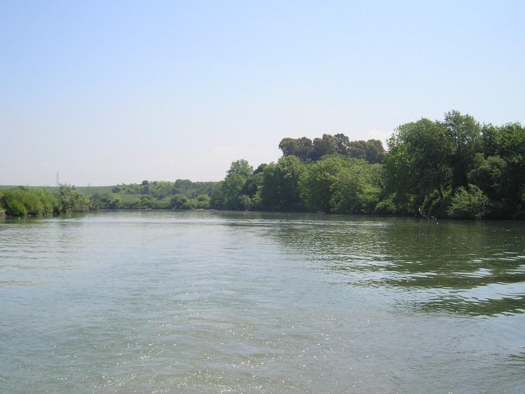 Gita sul tevere