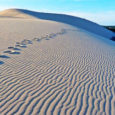 Parliamo della dune du pilat , cioè della duna Francese più alta d’Europa. Lunga 2,7 km, larga 500 m e alta fino a 110 m. Queste sono le dimensioni spettacolari della formazione […]