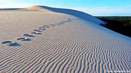 IL DESERTO FRANCESE