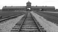 27 Gennaio Giornata della Memoria “Ci sono cose che tutti vogliono dimenticare. Ma io no. Io della mia vita voglio ricordare tutto, anche quella terribile esperienza che si chiama Auschwitz: due […]