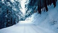 La Neve Il cielo bianco che fiocca sulle strade già bianche e il vento che trasporta un pò di neve nel bosco come il pastore con il suo gregge di […]