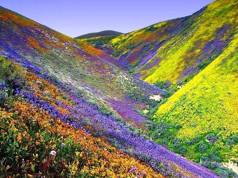 Filastrocca Di Primavera