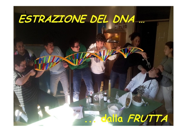 Estrazione DNA – Laboratorio di scienze – 3F