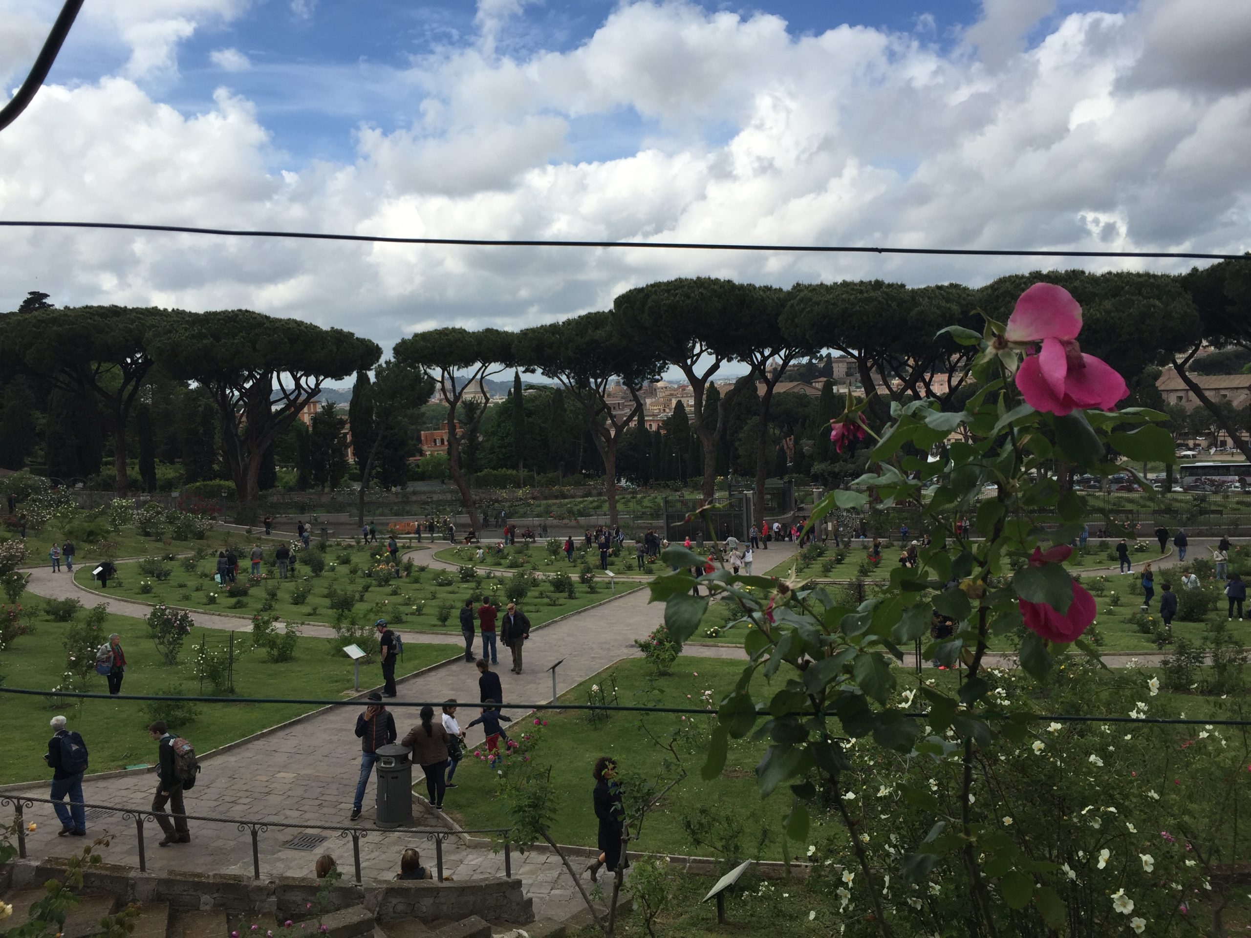 Il Roseto Comunale Di Roma